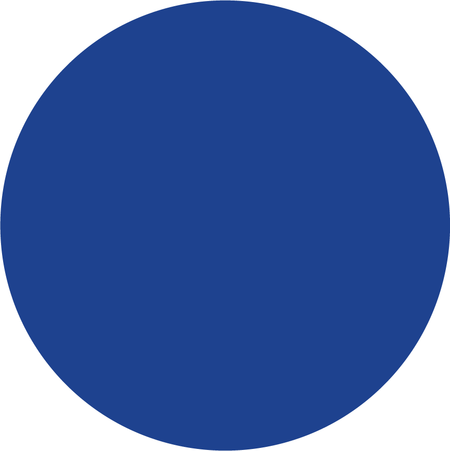 Cercle plein bleu